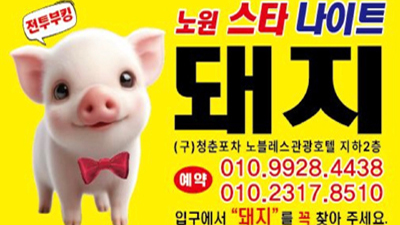 믿음과 성실 노원나이트 후기 ⊙ 자신있게 모실께요확실하게 케어 해드립니다