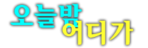 성남샴푸나이트 확실한 웨이터를 찾으시나요